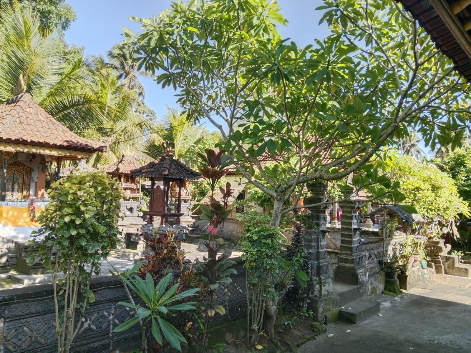 Wikan House Bebandem Экстерьер фото